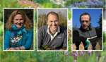 how-to-create-a-garden