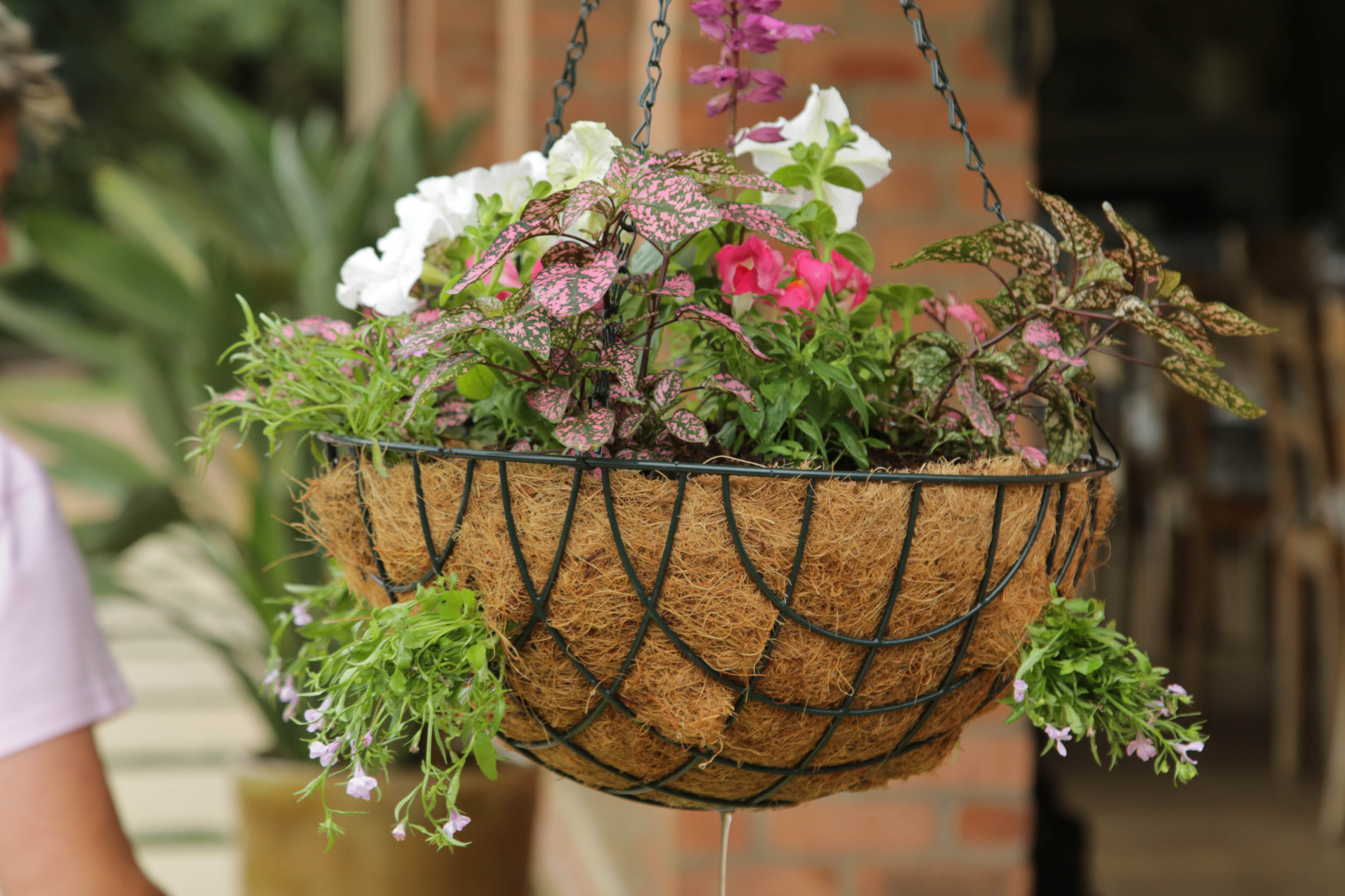 Home Made Easy Episode 6 Competitions The Home Channel